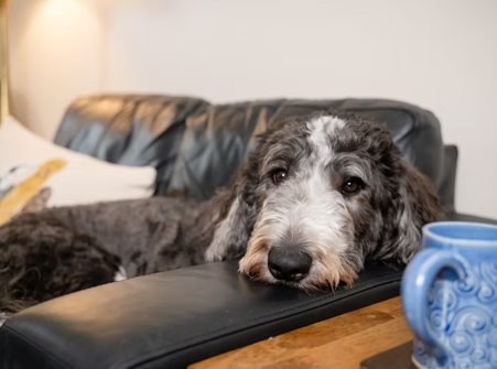 Grief Counseling in Greensburg, PA: Finding Hope After Loss